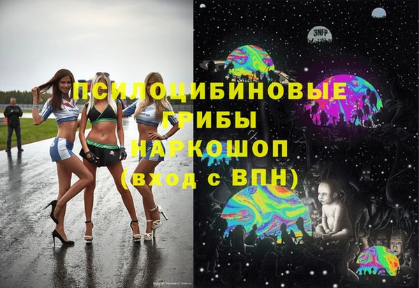 МДПВ Ельня