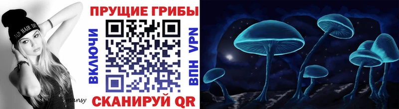 Псилоцибиновые грибы MAGIC MUSHROOMS Кандалакша