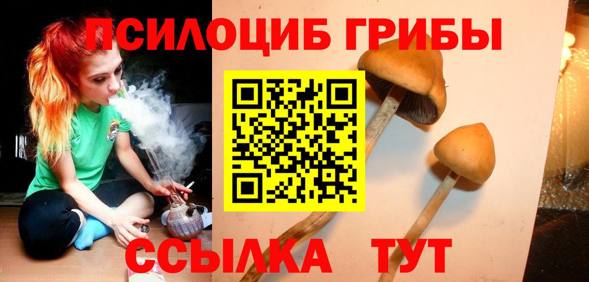 Галлюциногенные грибы ЛСД  Вход с VPN  Кандалакша 