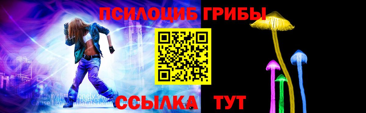 Галлюциногенные грибы Cubensis Кандалакша